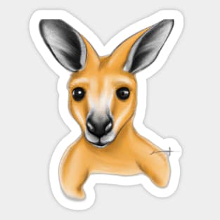 Cute Kangaroo Drawing Sticker